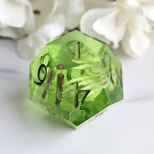 Load image into Gallery viewer, GELATINOUS OOZE - 7 Piece Chonky Set