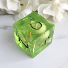 Load image into Gallery viewer, GELATINOUS OOZE - 7 Piece Chonky Set